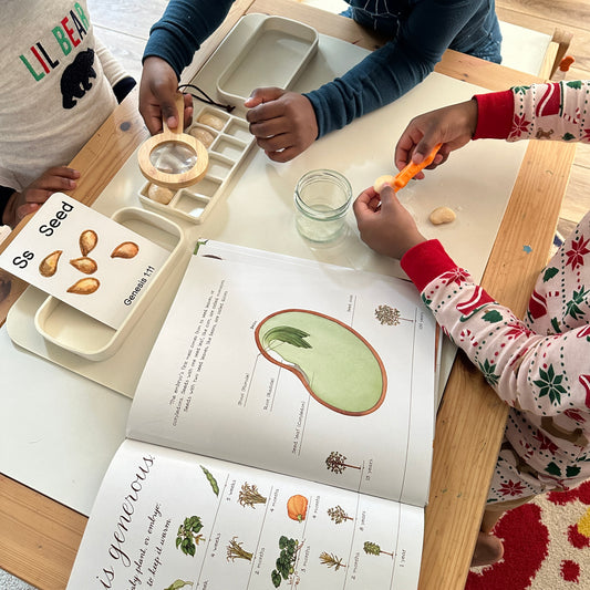 Keys to Multi-age Learning Success at Home