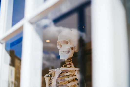 Flipping the Script on Skeletons: Turning our Children's Eyes from Fear to Faith During Halloween