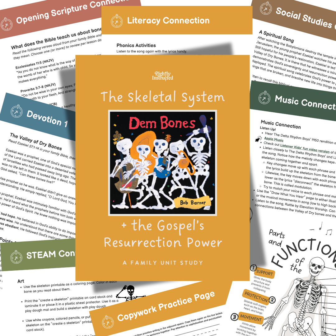 Dem Bones Skeletal System Unit Study