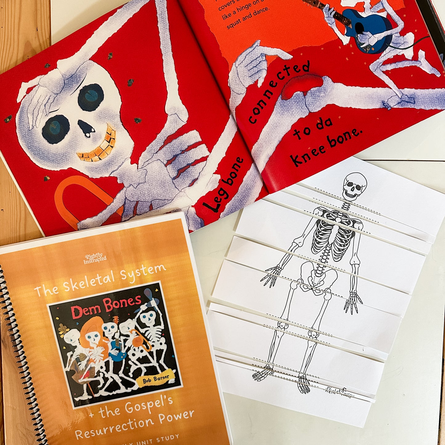 Dem Bones Skeletal System Unit Study