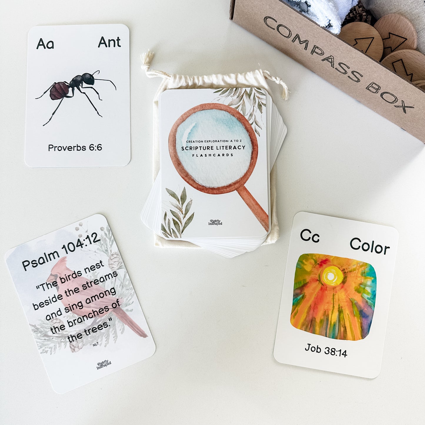 Creation Exploration: A to Z