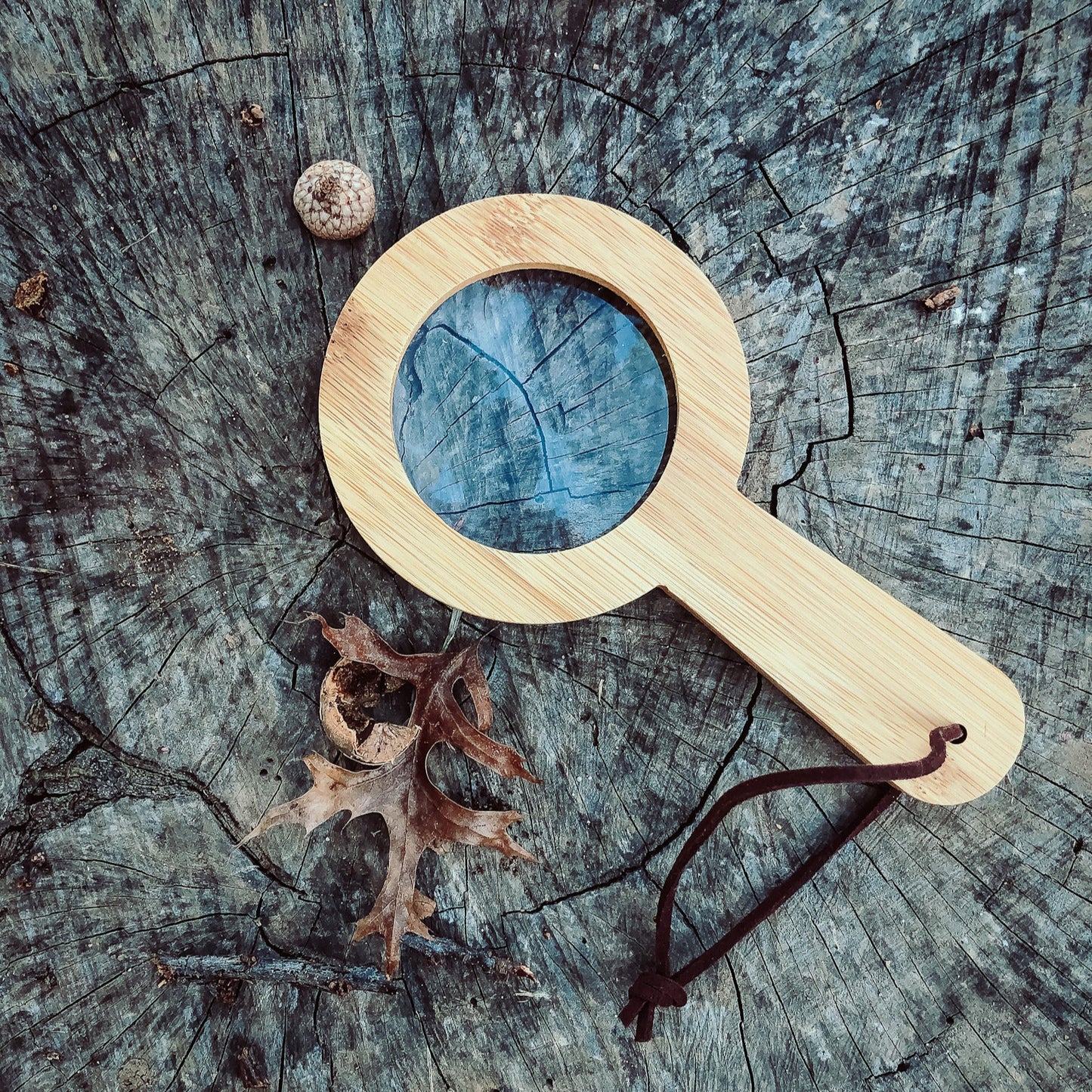 Bamboo Magnifying Glass