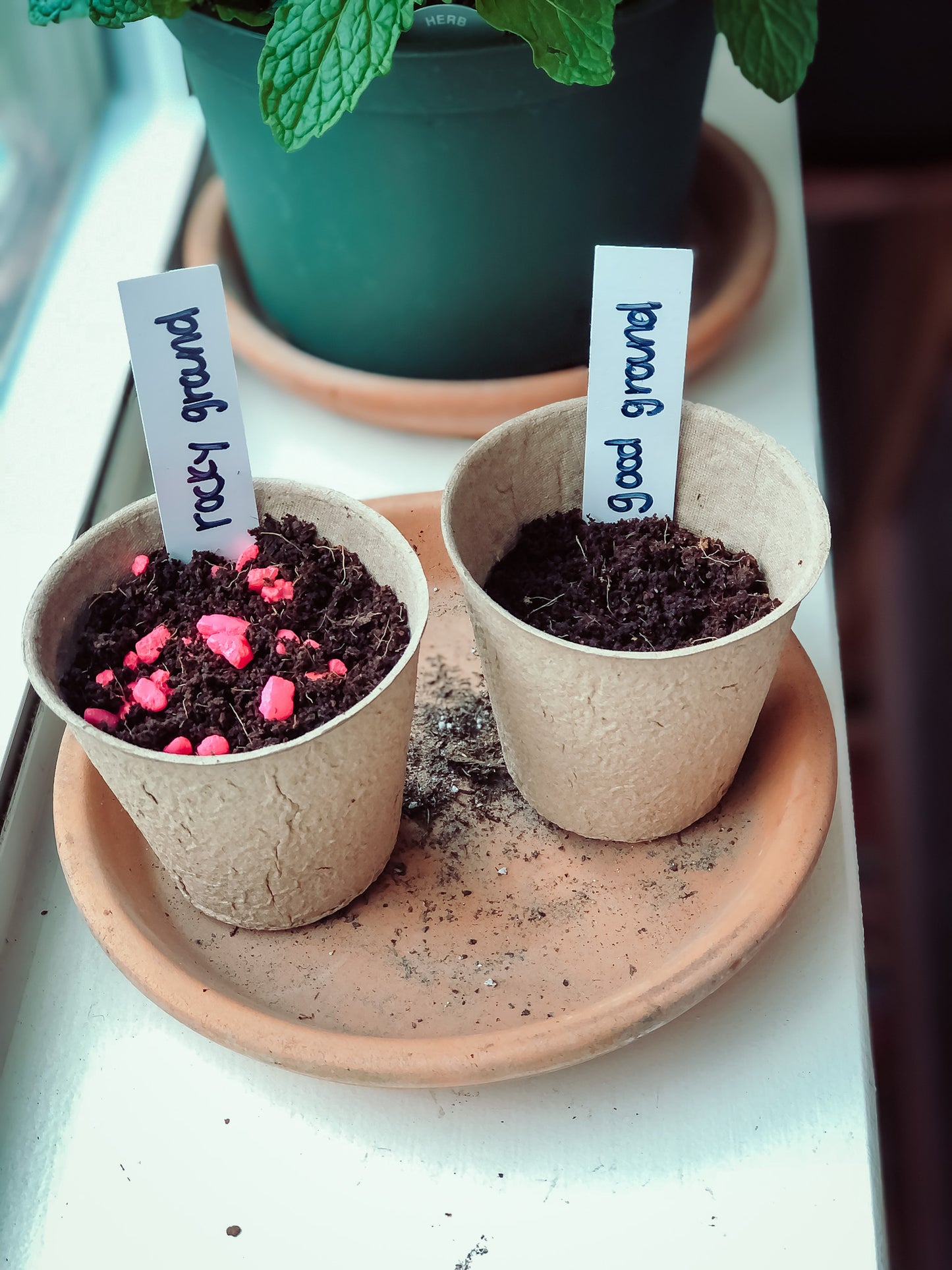 Sowing Series Activity Kit