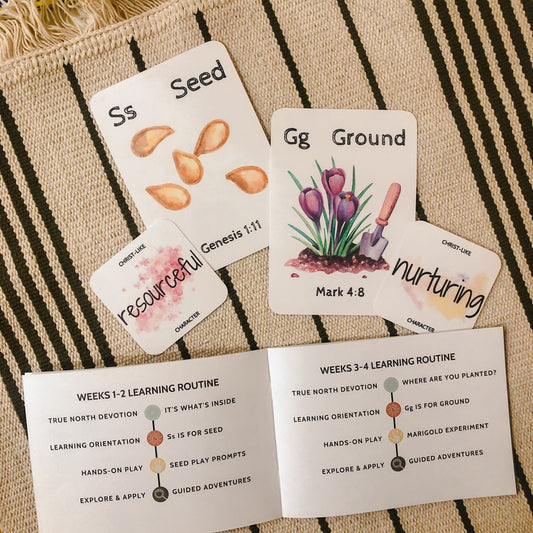 Sowing Series Activity Kit