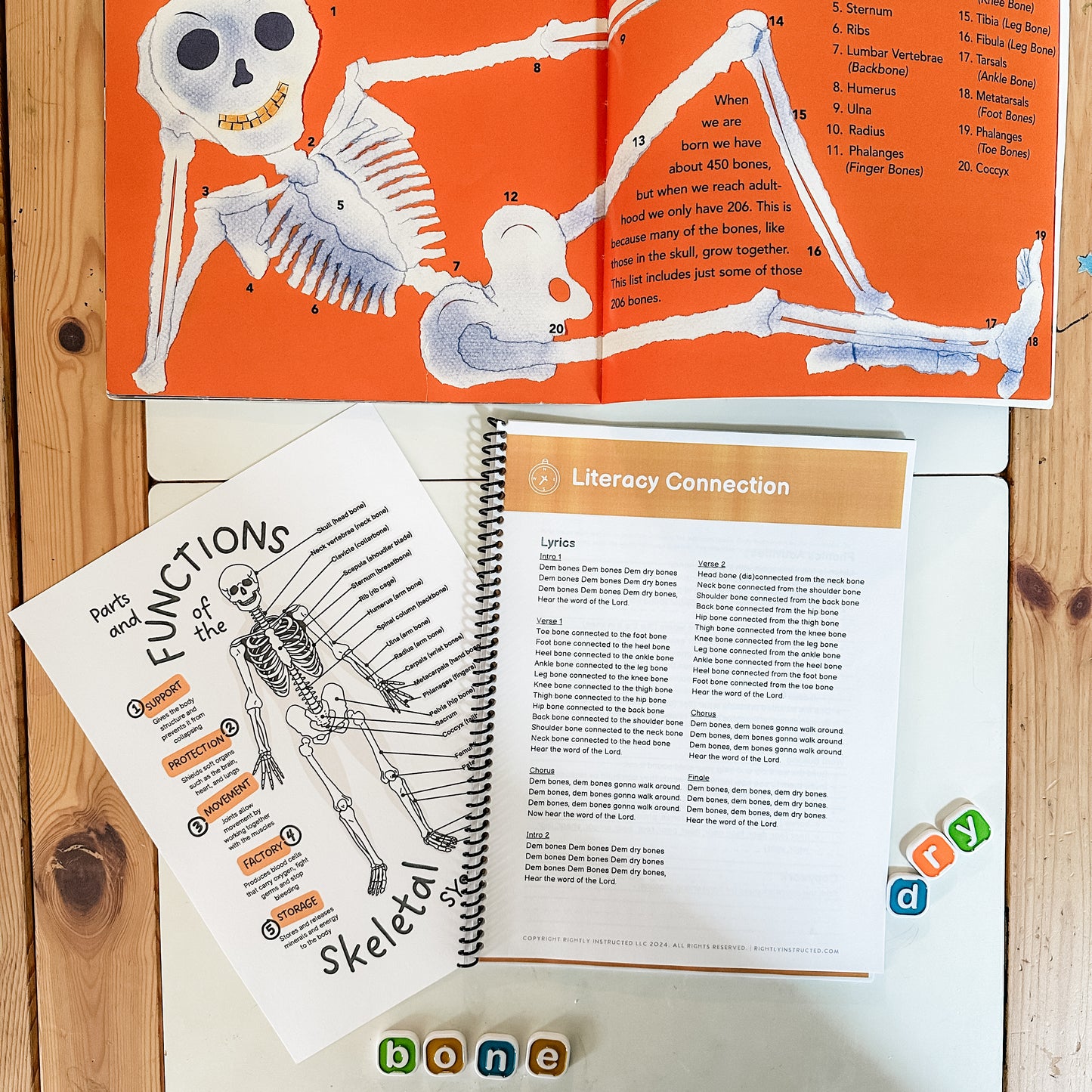 Dem Bones: A Skeletal System Family Unit Study Guide