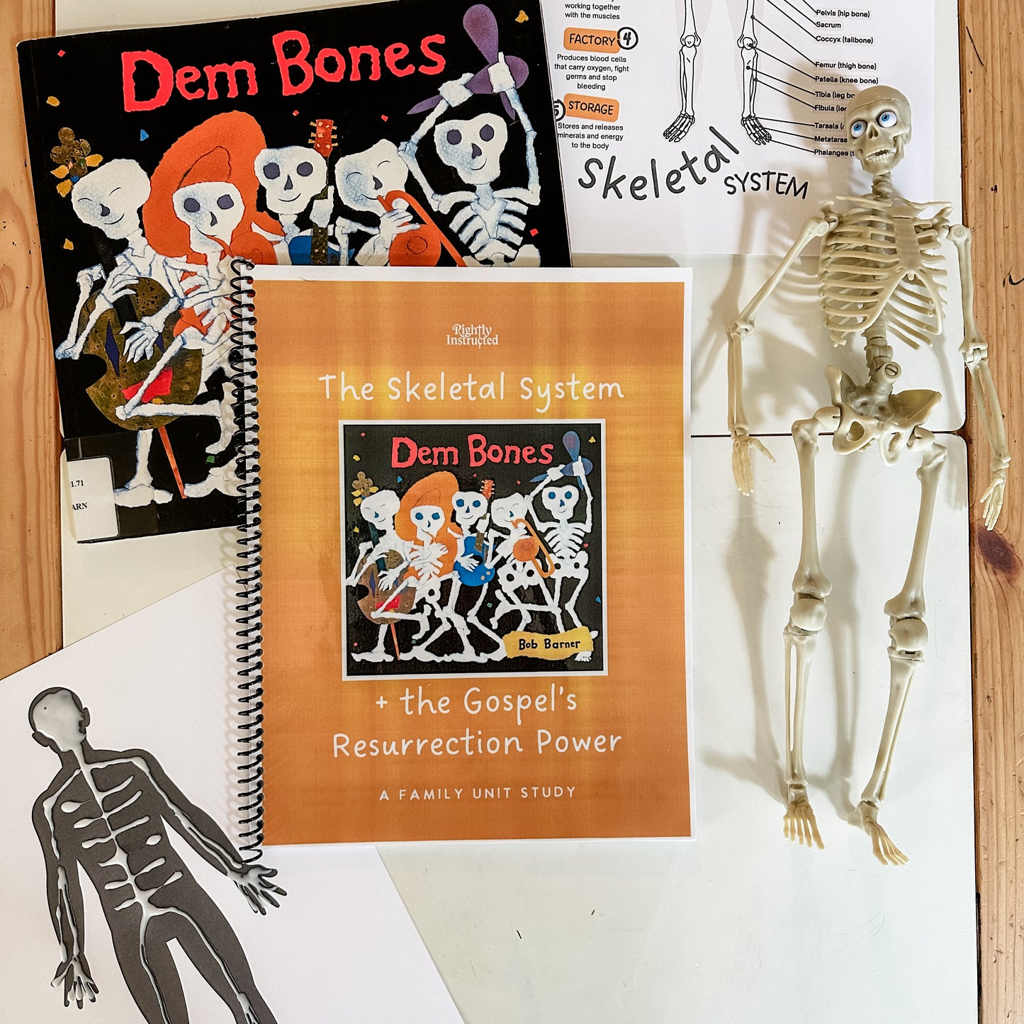 Dem Bones: A Skeletal System Family Unit Study Guide