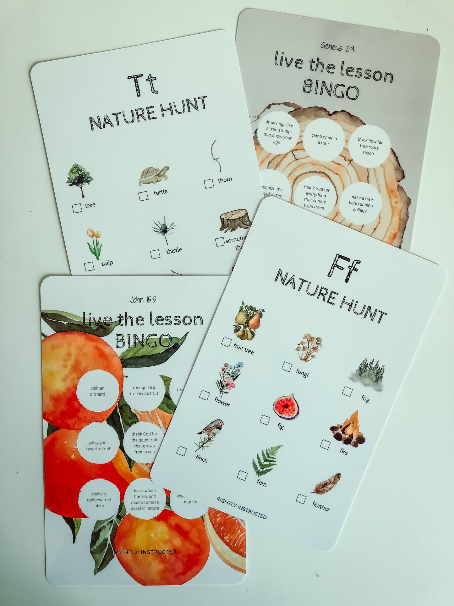 Nature Activity Bundle (Assorted)